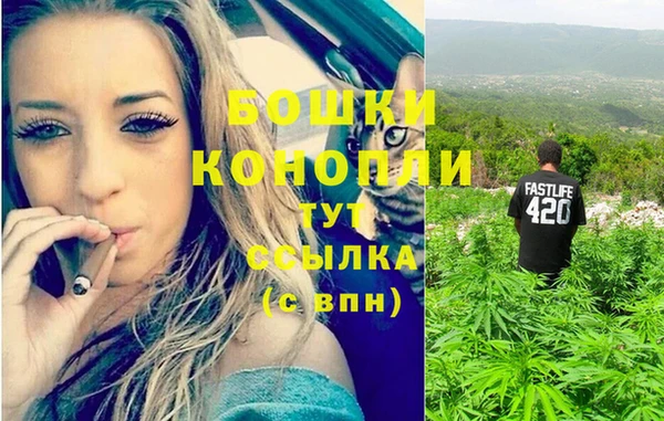 MESCALINE Аркадак