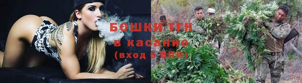MESCALINE Аркадак
