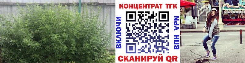 ОМГ ОМГ зеркало  Междуреченск  ТГК вейп 