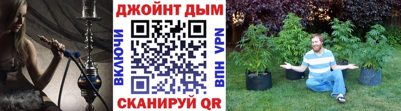 купить  сайты  Междуреченск  Бошки марихуана план 